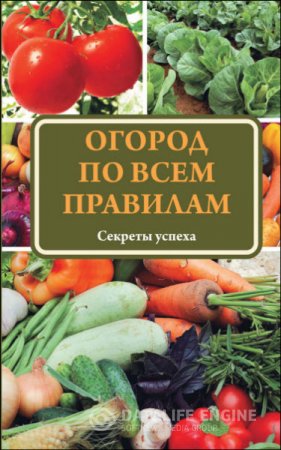 Обложка к Татьяна Ситникова. Огород по всем правилам. Секреты мастерства (2015) RTF,FB2,EPUB,MOBI
