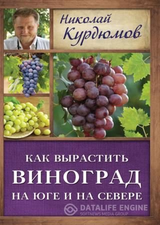 Обложка к Николай Курдюмов. Как вырастить виноград на Юге и на Севере (2016) FB2,EPUB,MOBI