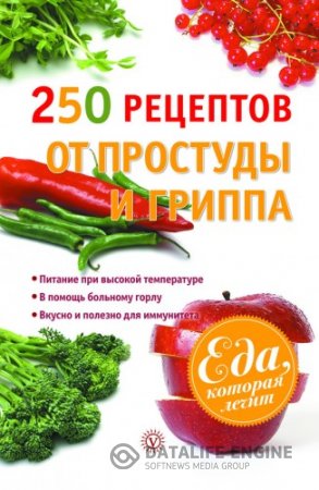 Обложка к Виктор Ильин. 250 рецептов от простуды и гриппа (2013) RTF,FB2,EPUB,MOBI,DOCX