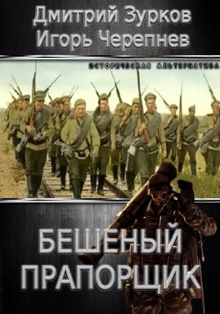 Обложка к Дмитрий Зурков, Игорь Черепнев. Цикл (24 книги) - Бешеный прапорщик