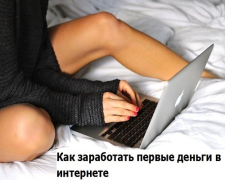 Обложка к Как заработать первые деньги в интернете