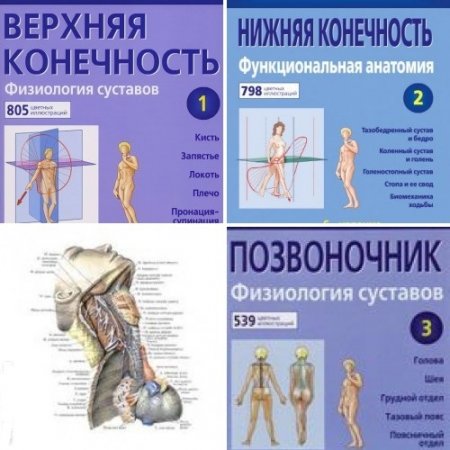 Обложка к Адальберт Капанджи. Функциональная анатомия. Том 1-3