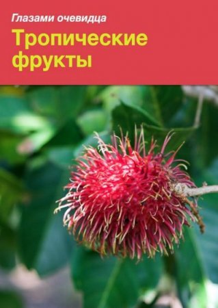 Обложка к Екатерина Пугачева, Сергей Серебряков - Тропические фрукты (2016) RTF,FB2,EPUB,MOBI
