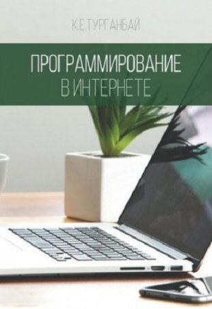 Обложка к Программирование в интернете