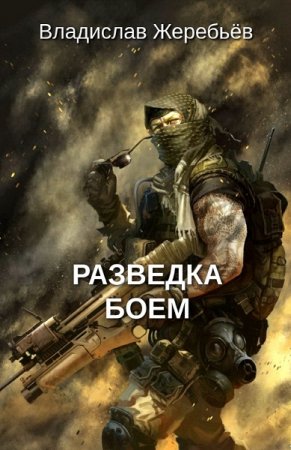 Обложка к Владислав Жеребьёв. Разведка боем