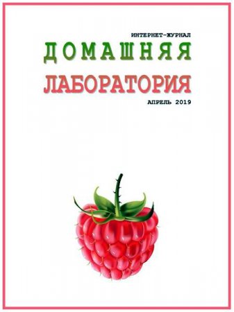 Обложка к Домашняя лаборатория №4 (апрель 2019)