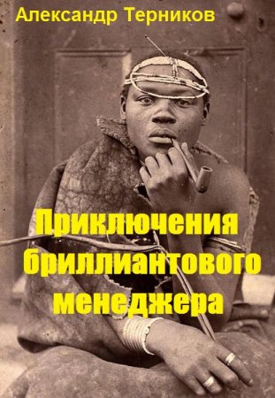 Обложка к Александр Терников. Приключения бриллиантового менеджера. Сборник книг