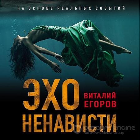 Обложка к Аудиокнига - Эхо ненависти (2022) Егоров Виталий