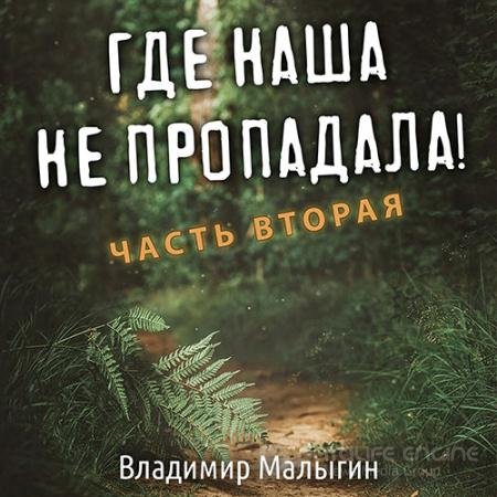 Обложка к Аудиокнига - Где наша не пропадала! Часть 2 (2022) Малыгин Владимир