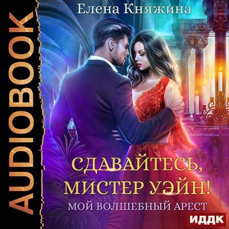 Обложка к Аудиокнига - Сдавайтесь, мистер Уэйн! или Мой волшебный арест (2023) Княжина Екатерина