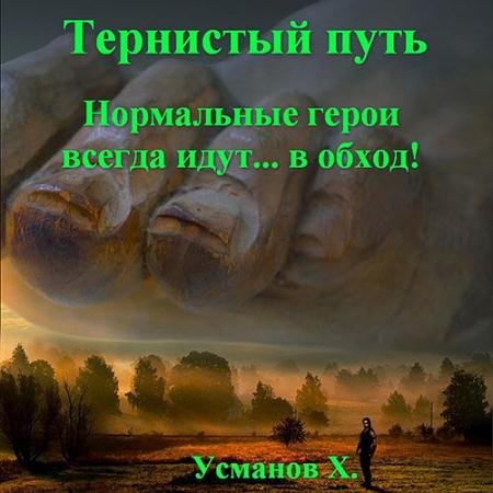 Обложка к Аудиокнига - Тернистый путь. Нормальные герои всегда идут… в обход! (2023) Усманов Хайдарали