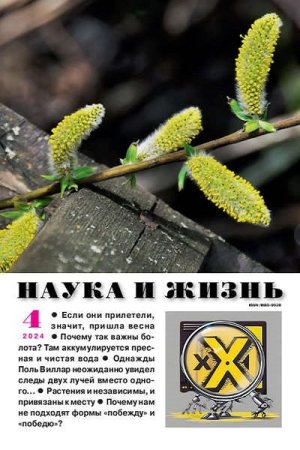 Обложка к Наука и жизнь №4 (апрель 2024)